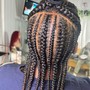 Feed in Braids (with hair)