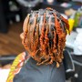 Starter Locs