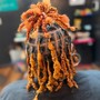 Loc Maintenance Retwist