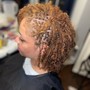 Root Touch Up