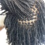 Adult Loc Maintenance retwist(no style)