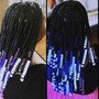 Feeder Braids / Straight Backs