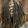 Start Dreadlocks  by  3 prong rotation