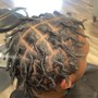 Starter Locs