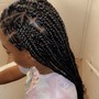 Boho Box Braids