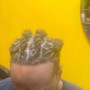 Comb Twist