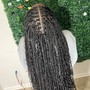 Kinky Twist