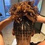 Micro Locs (Starter)