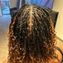 Micro Locs (Starter)