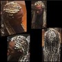 Butterfly Feed in Braids