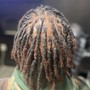 Adult Loc Retwist (basic NO STYLE)