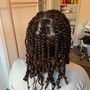 Loc Retwist