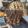 Loc Retwist  - LONG  (Beneath shoulder)