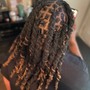 Starter Locs