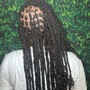 (Adult) Loc Retwist (Top with Shaved side)