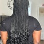 Medium Half feed-in and single braids at the back