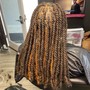 Medium Box Braids