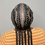 adult 2 feed in braids