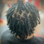 Starter Locs x Two Strand twist method