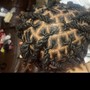 Bantu Knots