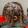 Locs- Starter Locs