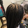 Small Box Braids