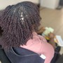 Loc Maintenance (Frizz control)