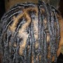 Shampoo, Condition, Deep Condition, Oil Treatment, Loc Retwist & Style