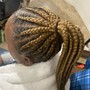 Feed in Braids