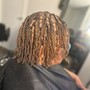 Root Touch Up