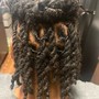 Micro starter locs