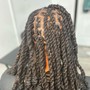 Two Strand Twists