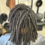 Starter Locs, Mid Back Length