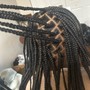 Flip over Fulani braids (small)