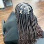 Senegalese Twist - Medium