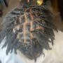 Starter Locs