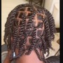 Jayda Wayda Braids Over Locs (ADULTS)