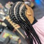 Feed-ins braids