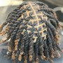 Loc Retwist