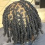 Loc Retwist