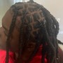 Starter Locs 2 strand twist