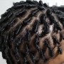 Individual Braids