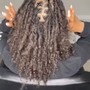 Starter comb twist Dreadlocks