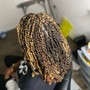 Loc Re-twist (no style no twist)