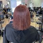 Foilage Highlights or Lowlights (Going Darker or Lighter) Permanent Partial