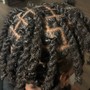 Loc Retwists