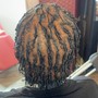 Large Senegalese Twist