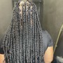 Tree braids/gypsy braids