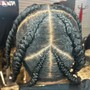 Feed In Braid Style