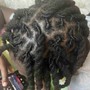 Loc Style (Two Strand & Three Strand Twist Only)